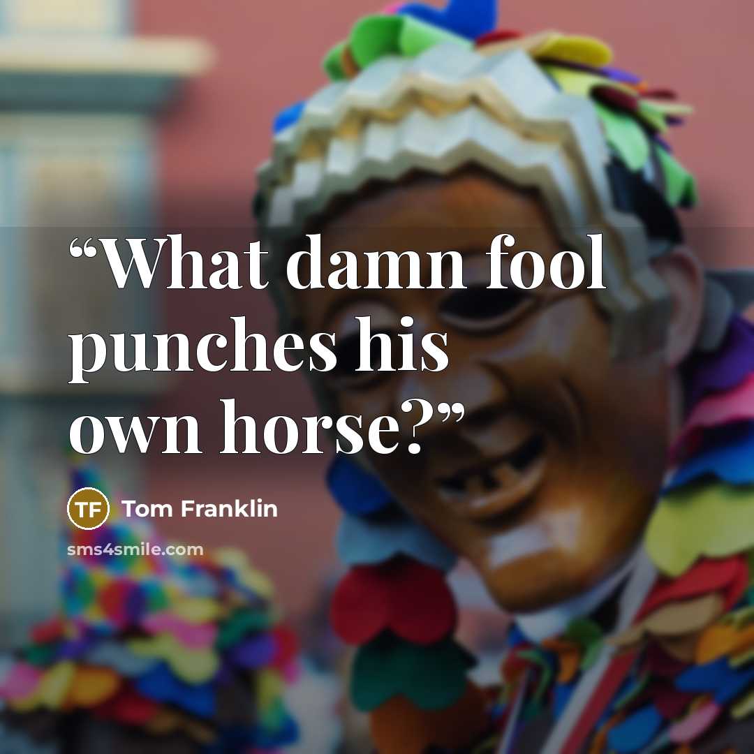 “What damn fool punches his own horse?” quote by Tom Franklin