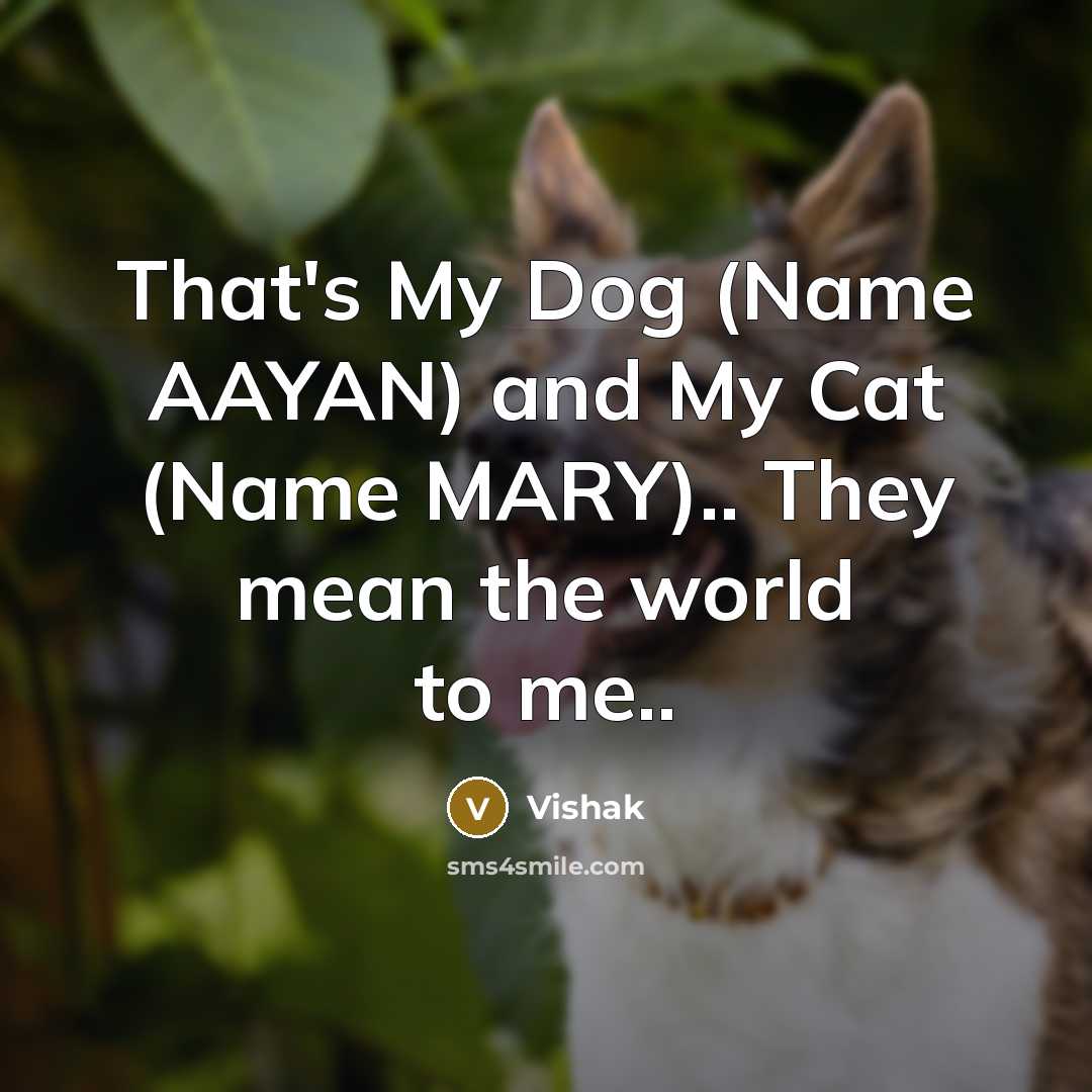 “That's My Dog (Name AAYAN) and My Cat (Name MARY)..…” quote by Vishak