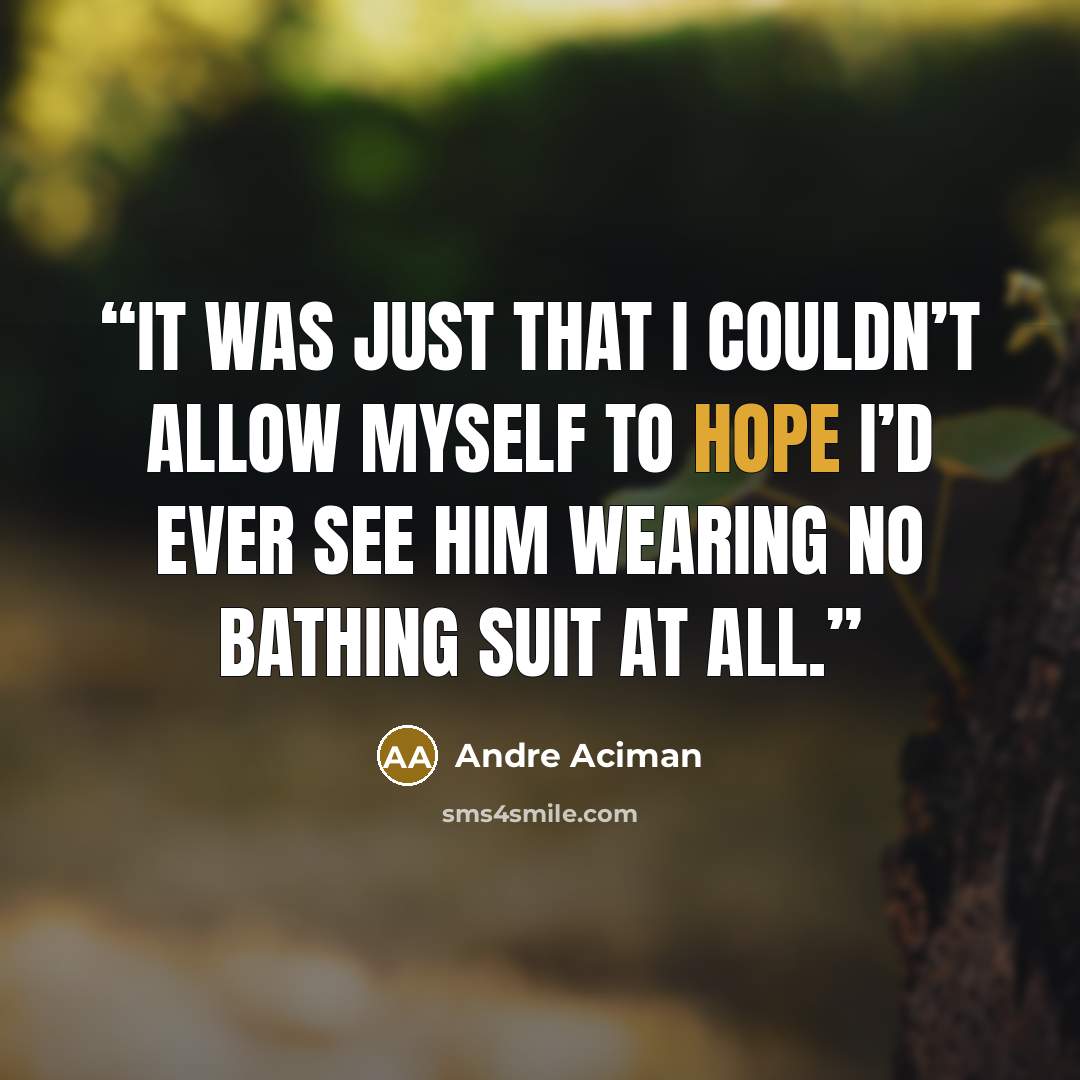 “It was just that I couldn’t allow myself to hope I’d ever see him wearing no bathing suit at all.” quote by André Aciman