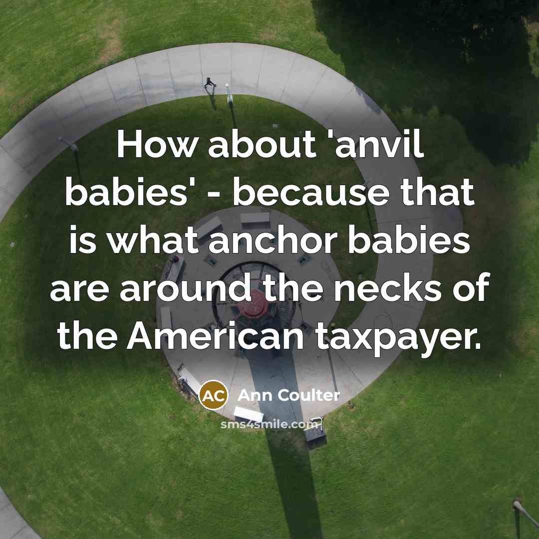 “How about 'anvil babies' - because that is what anchor…” quote by Ann Coulter