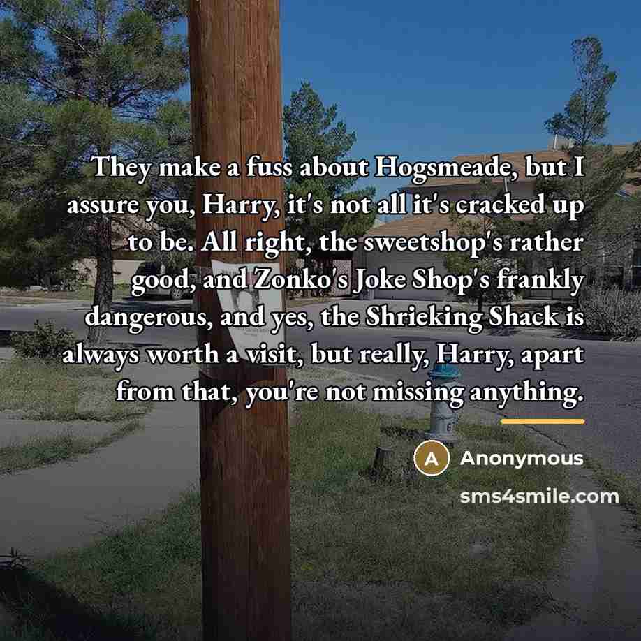 “They make a fuss about Hogsmeade, but I assure you,…” quote by Anonymous