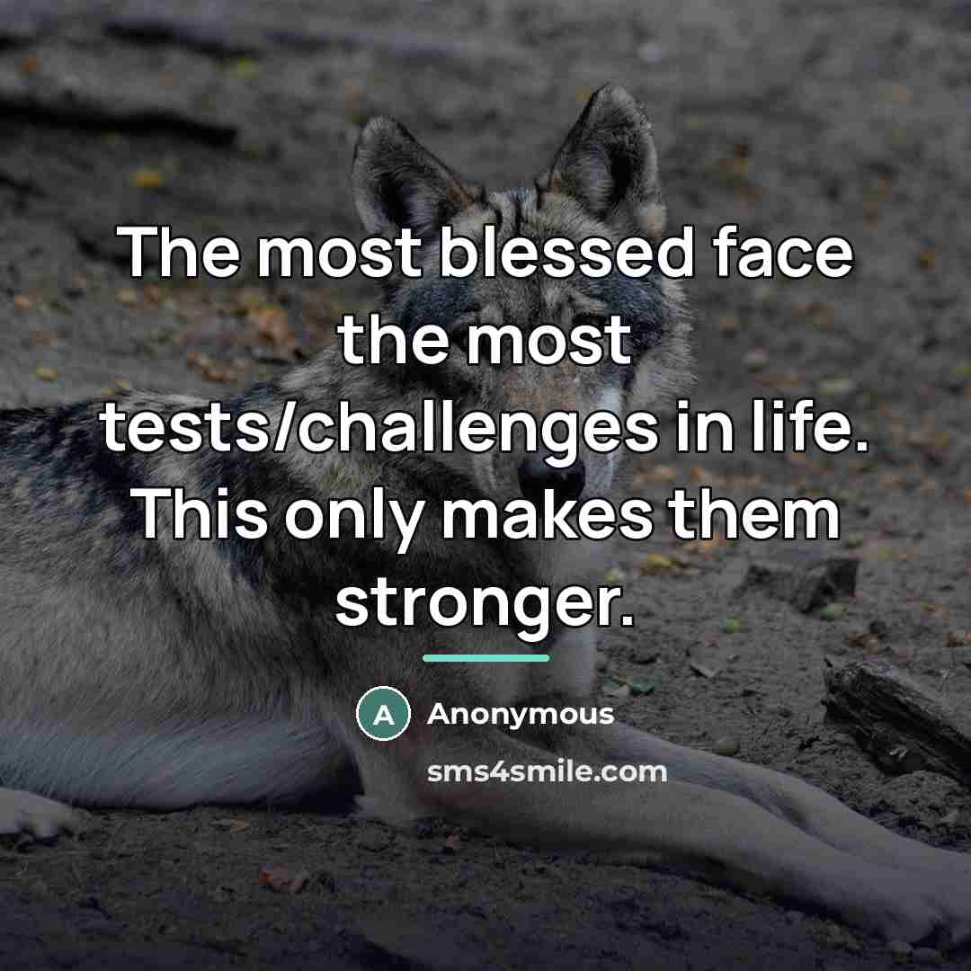 “The most blessed face the most tests/challenges in life. This…” quote by Anonymous