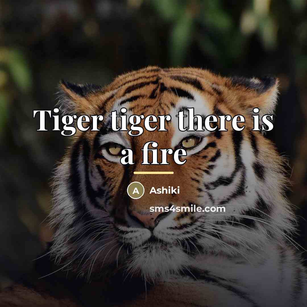 “Tiger tiger there is a fire…” quote by Ashiki