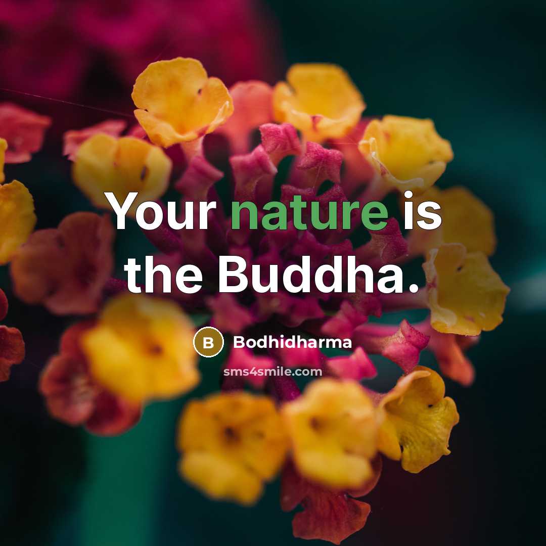 “Your nature is the Buddha.…” quote by Bodhidharma