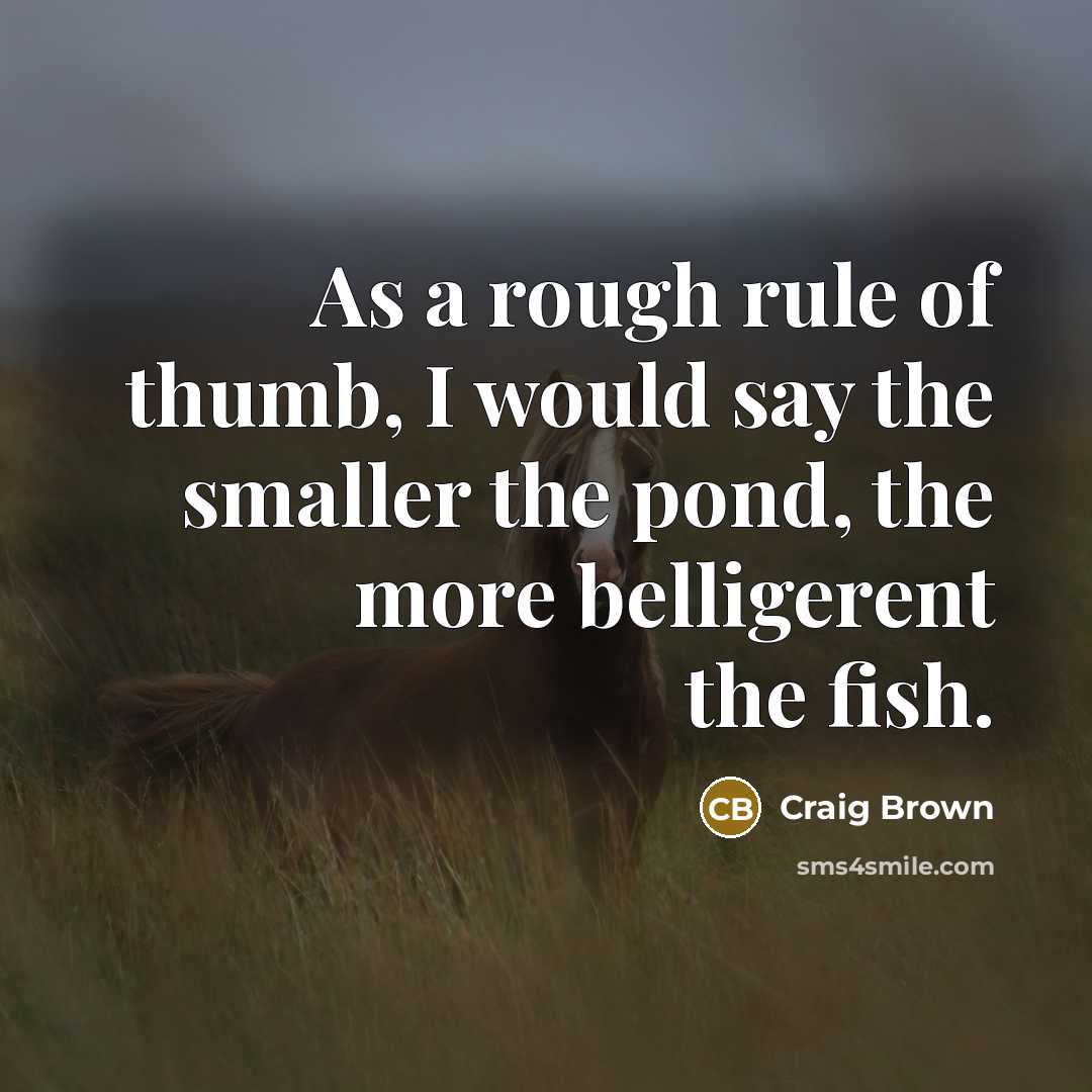 “As a rough rule of thumb, I would say the…” quote by Craig Brown