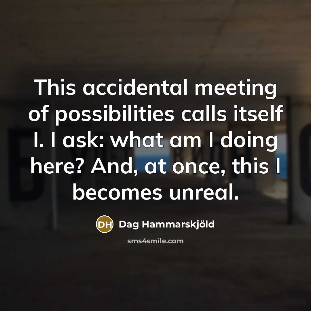 “This accidental meeting of possibilities calls itself I. I ask:…” quote by Dag Hammarskjold