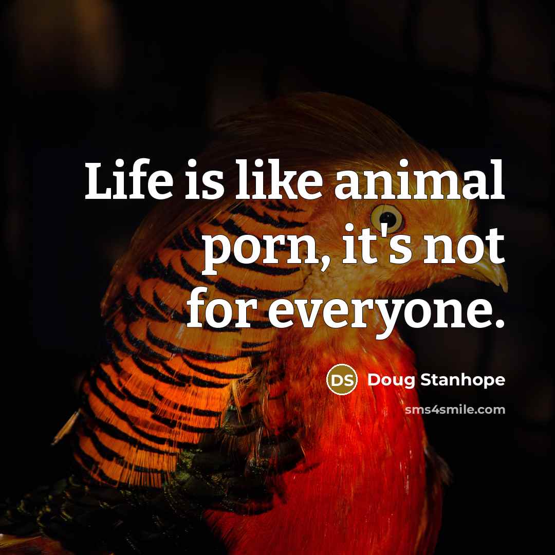 “Life is like animal porn, it's not for everyone.…” quote by Doug Stanhope
