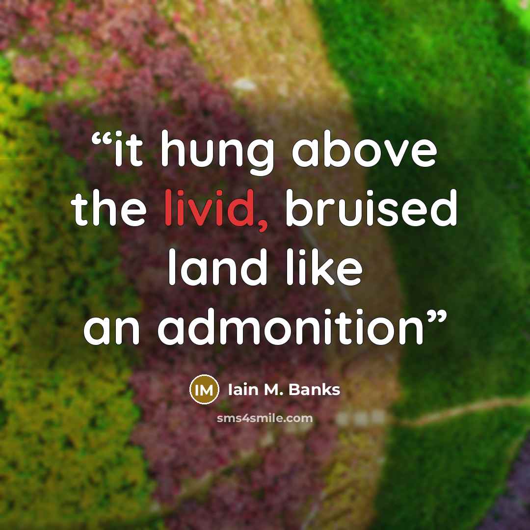 “it hung above the livid, bruised land like an admonition” quote by Iain M. Banks