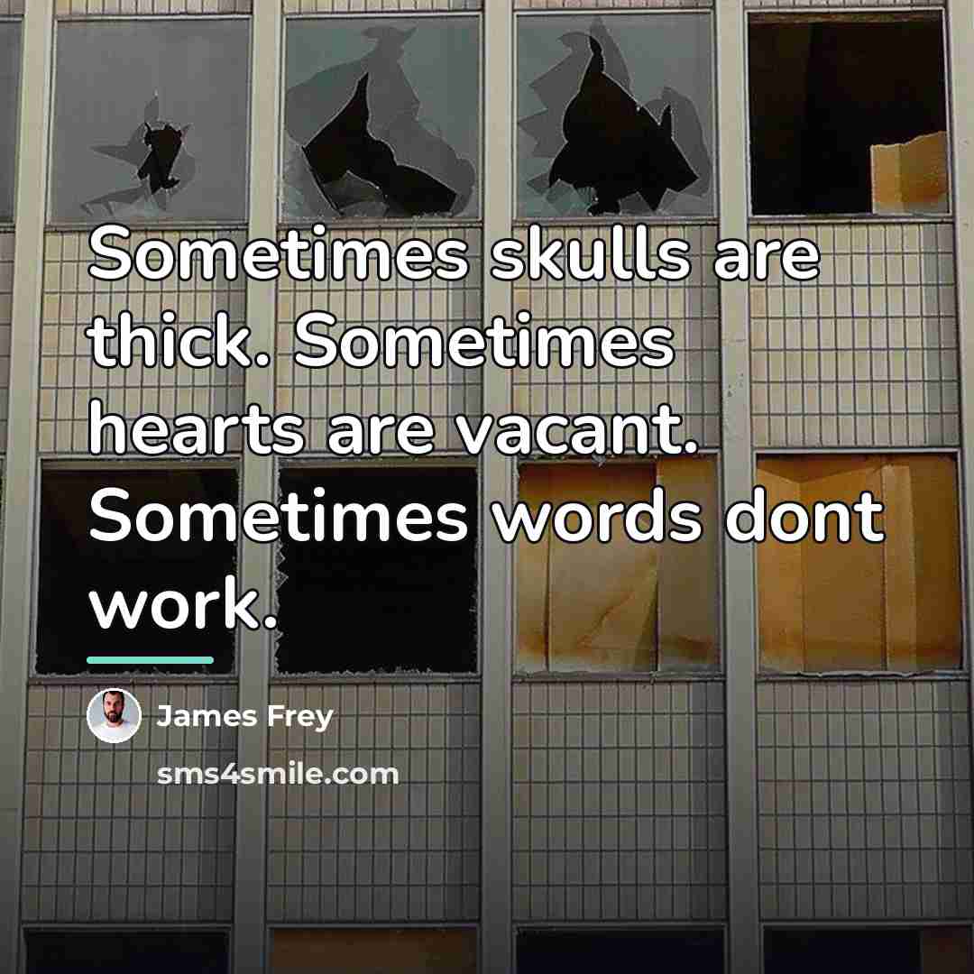 “Sometimes skulls are thick. Sometimes hearts are vacant. Sometimes words…” quote by James Frey