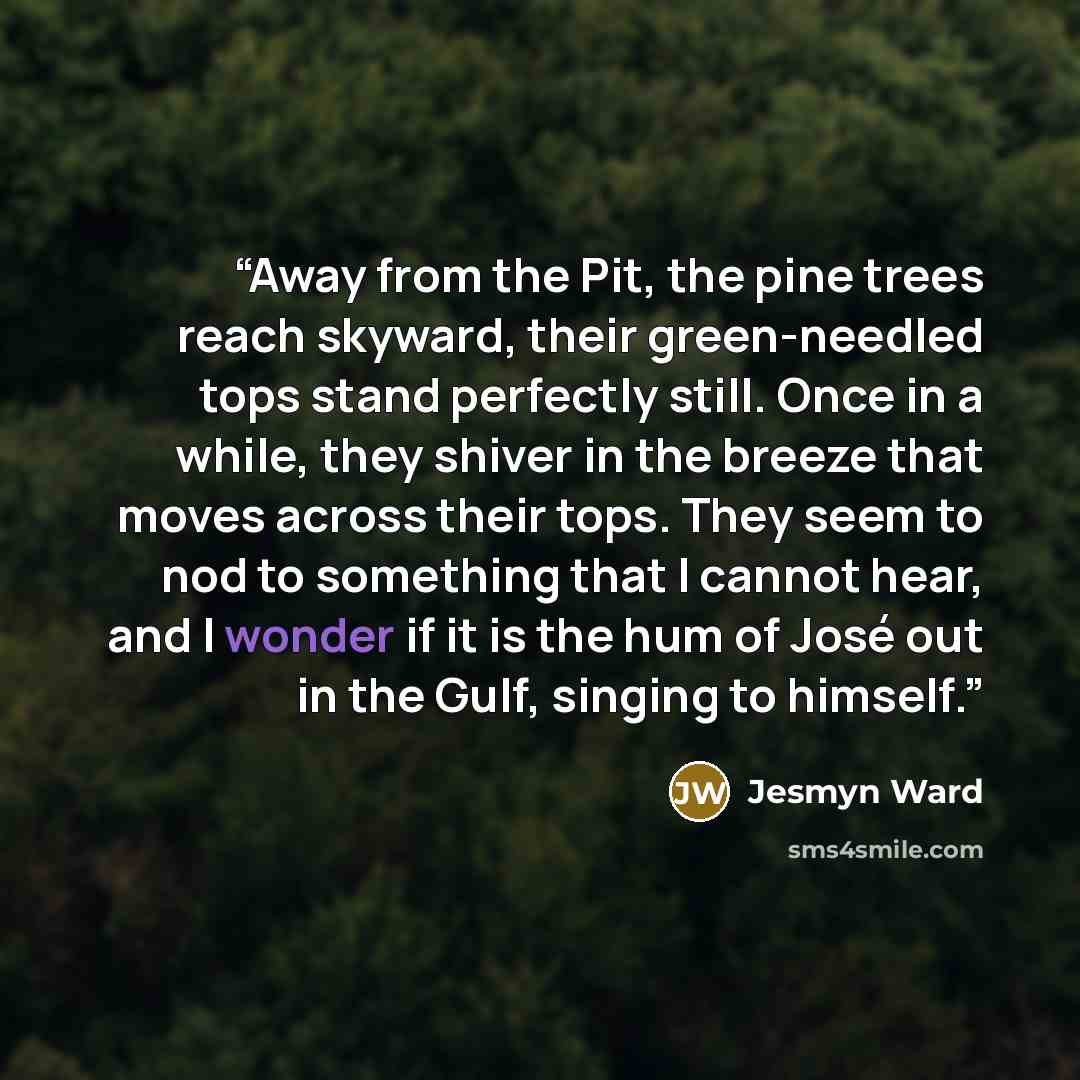 “Away from the Pit, the pine trees reach skyward, their green-needled tops stand perfectly still. Once in a while, they shiver in the breeze that moves across their tops. They seem to nod to something that I cannot hear, and I wonder if it is the hum of José out in the Gulf, singing to himself.” quote by Jesmyn Ward