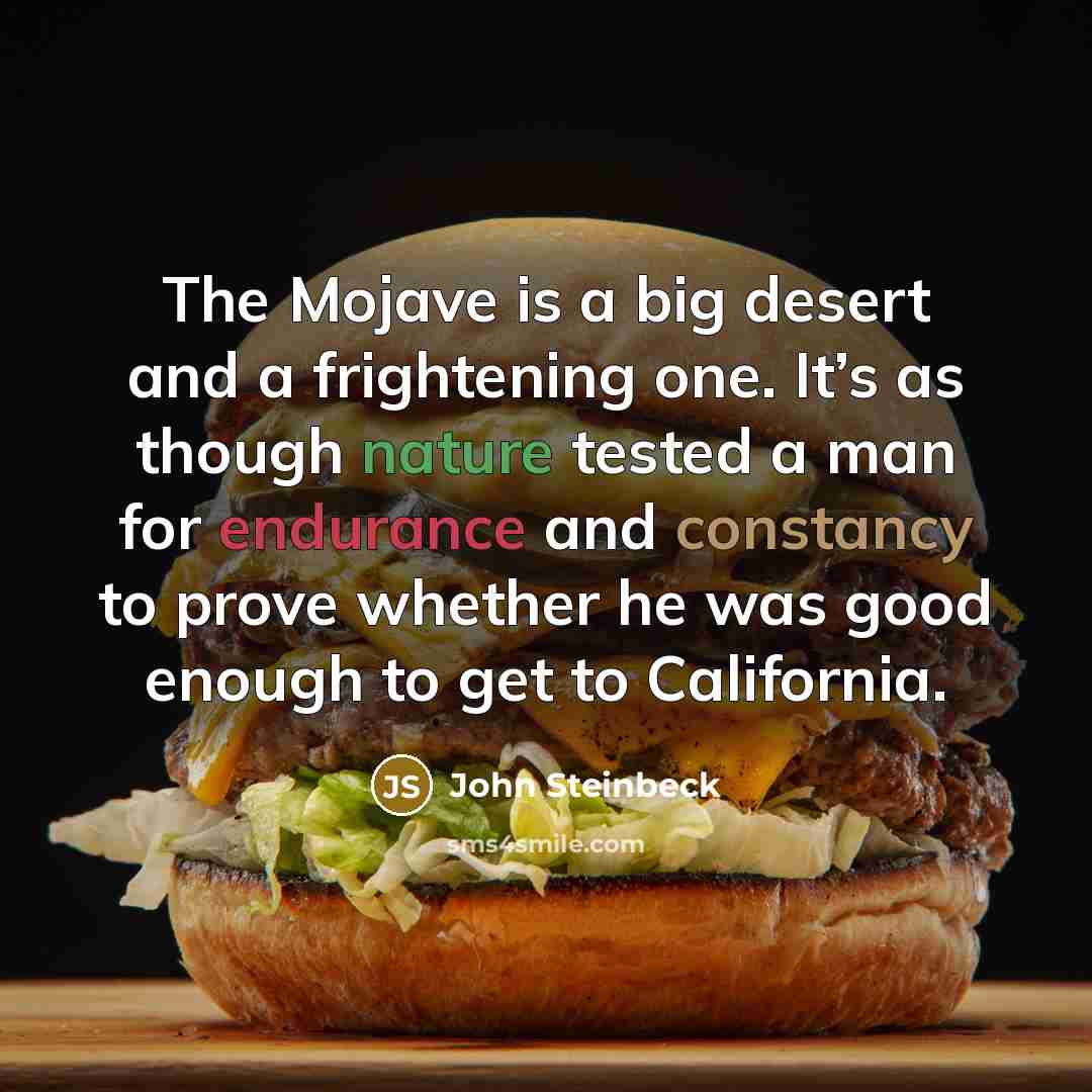 “The Mojave is a big desert and a frightening one.…” quote by John Steinbeck