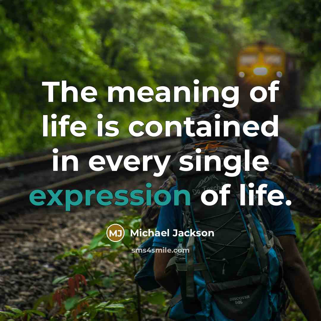 “The meaning of life is contained in every single expression…” quote by Michael Jackson