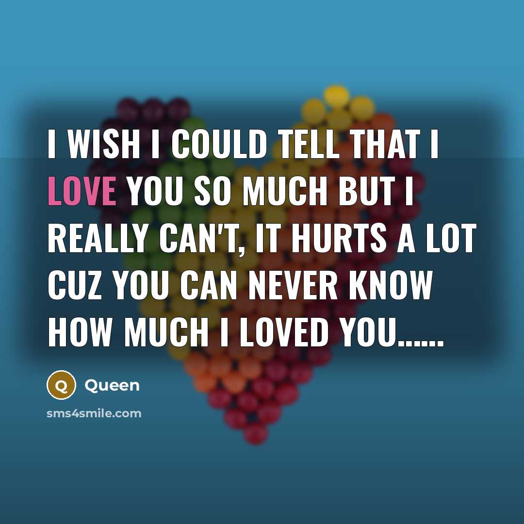 “I wish I could tell that I love you so…” quote by Queen