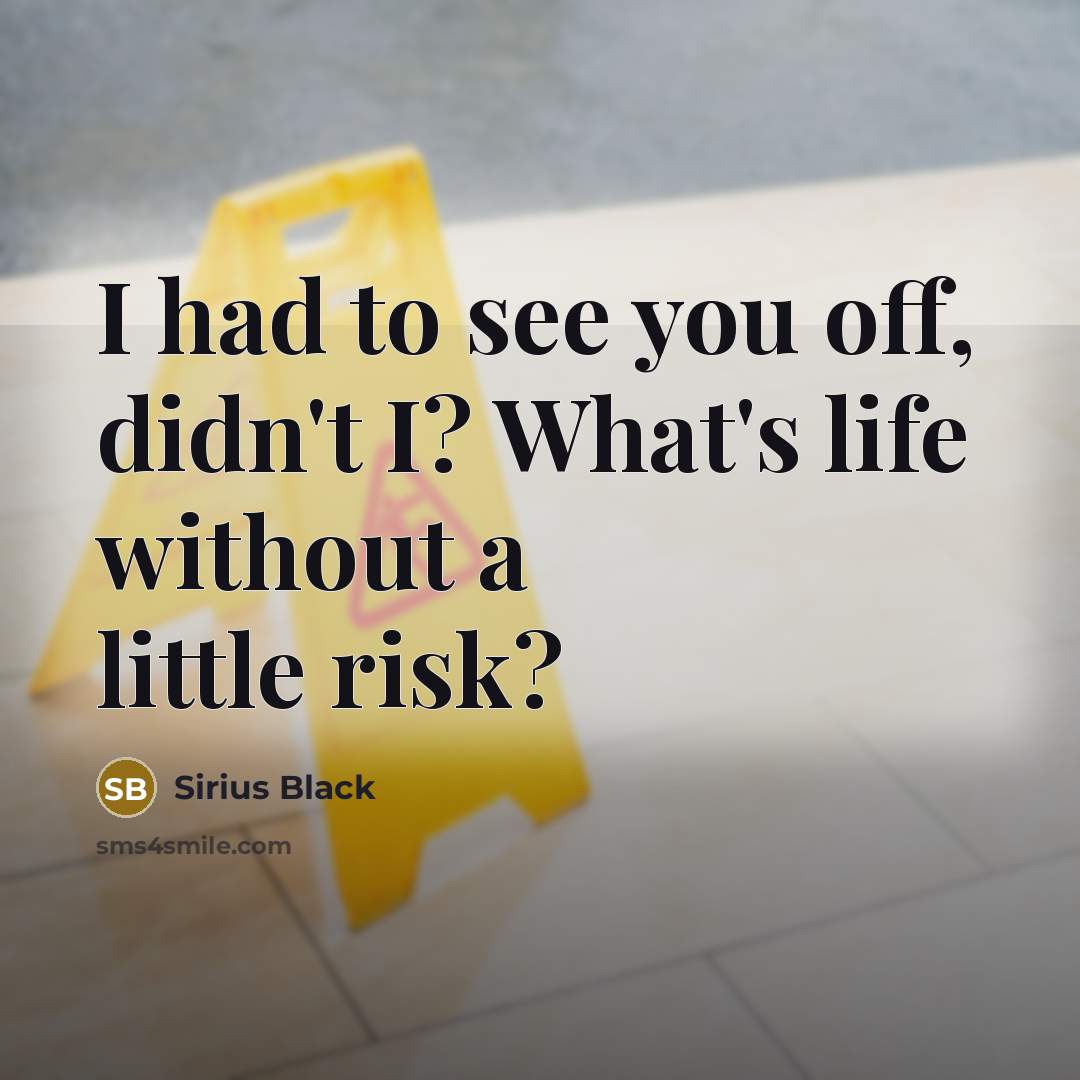 “I had to see you off, didn't I? What's life…” quote by Sirius Black