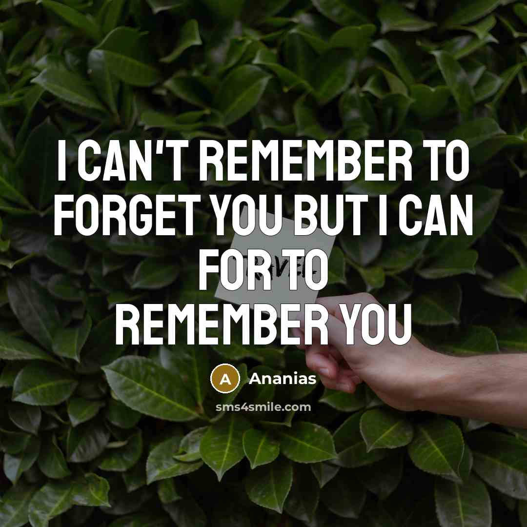“I can't remember to forget you but I can for…” quote by Ananias