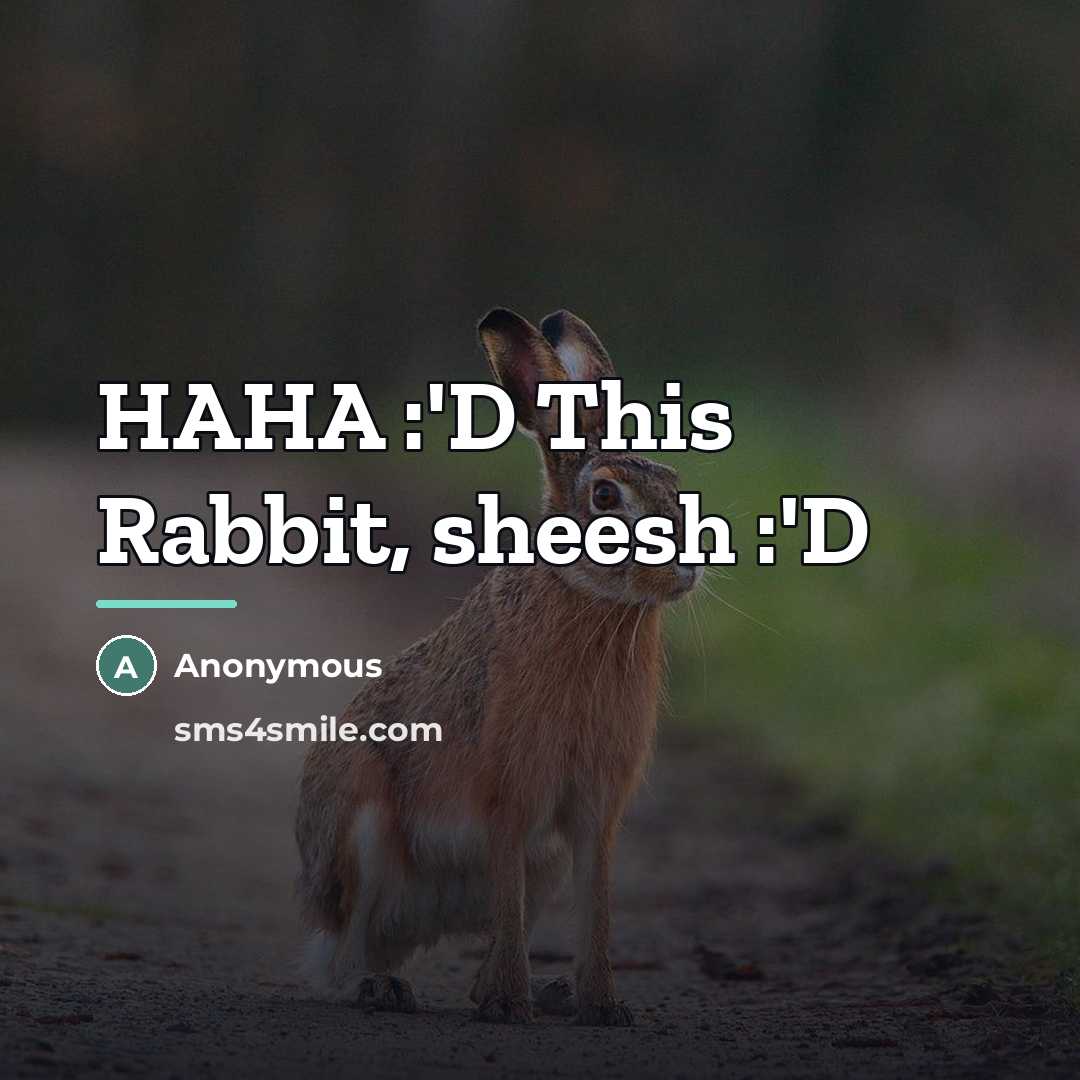 “HAHA :'D This Rabbit, sheesh :'D…” quote by Anonymous