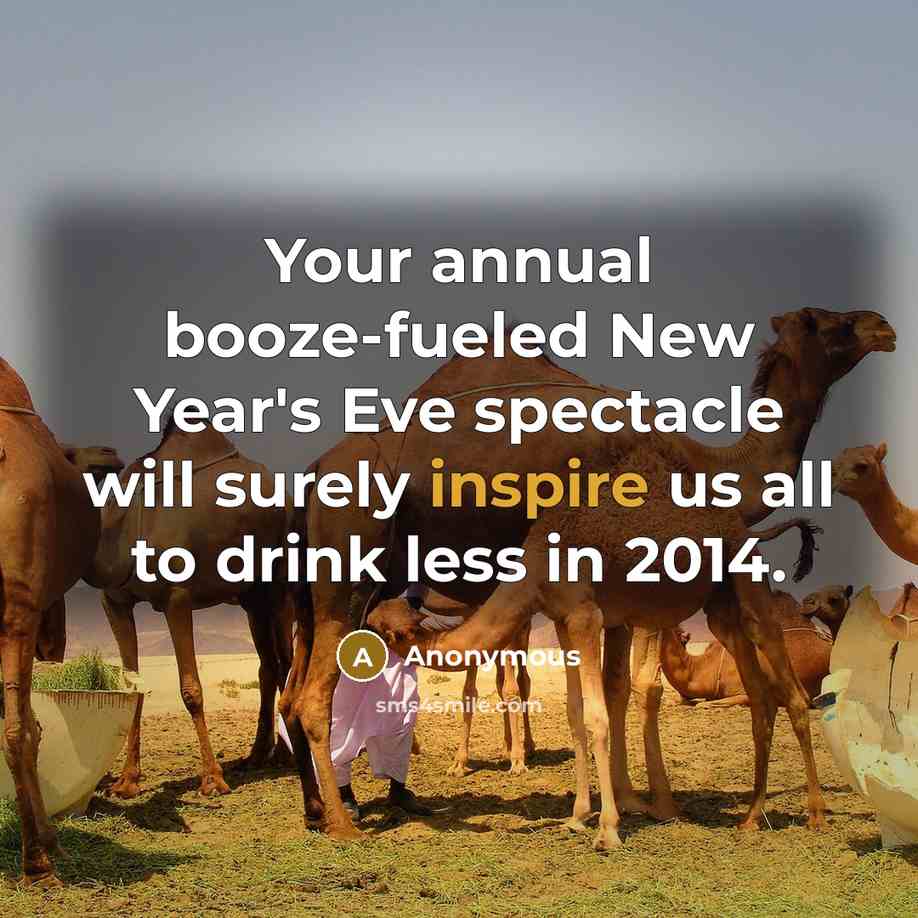 “Your annual booze-fueled New Year's Eve spectacle will surely inspire…” quote by Anonymous