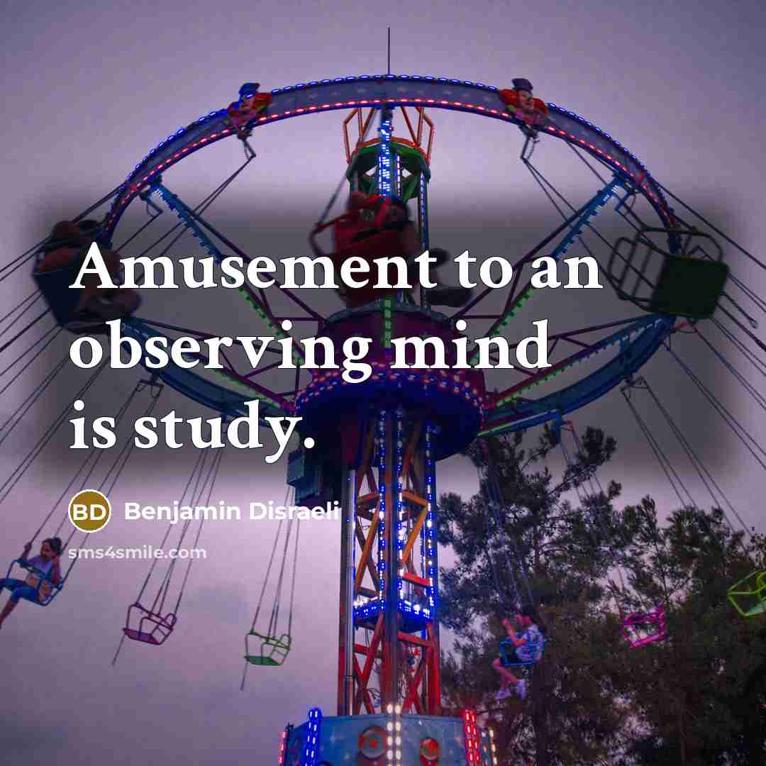 “Amusement to an observing mind is study.…” quote by Benjamin Disraeli