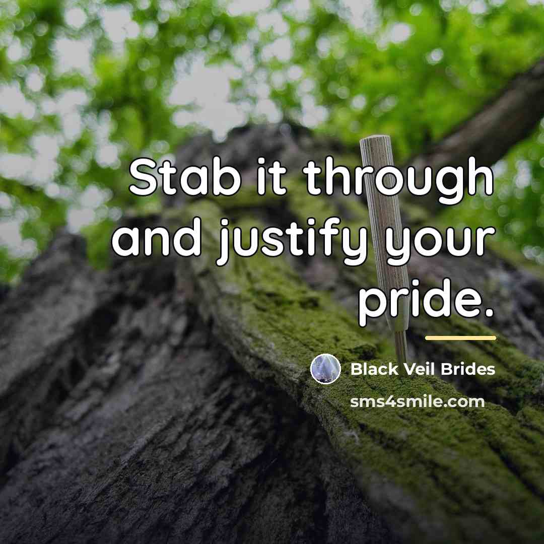 “Stab it through and justify your pride.…” quote by Black Veil Brides