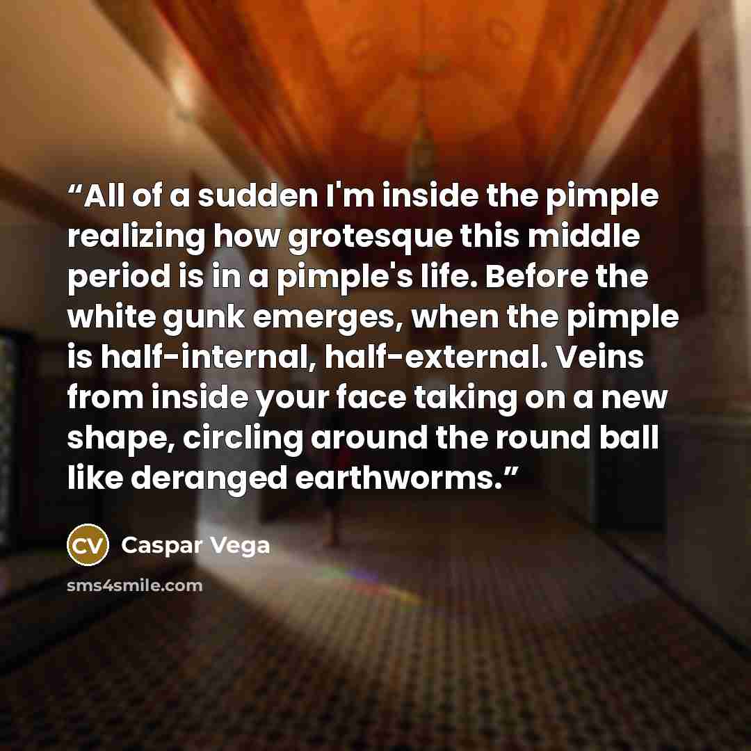 “All of a sudden I'm inside the pimple realizing how grotesque this middle period is in a pimple's life. Before the white gunk emerges, when the pimple is half-internal, half-external. Veins from inside your face taking on a new shape, circling around the round ball like deranged earthworms.” quote by Caspar Vega