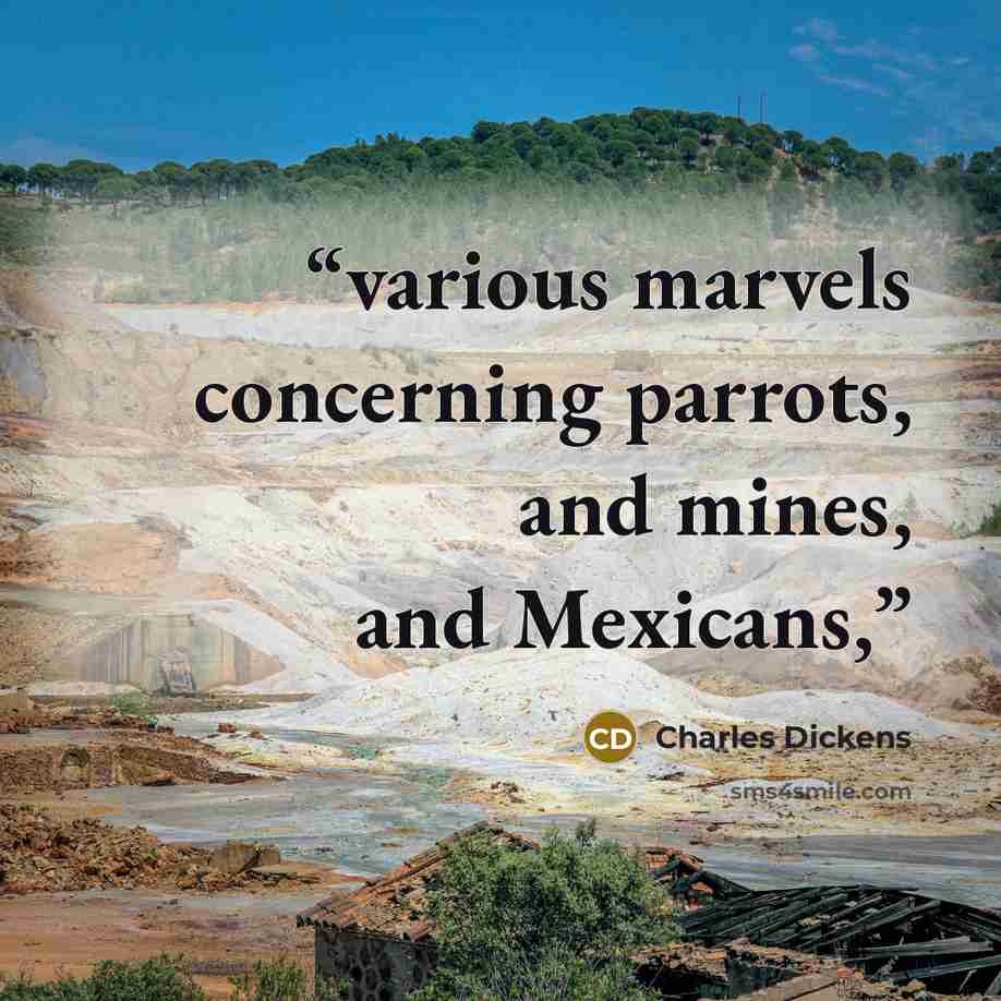 “various marvels concerning parrots, and mines, and Mexicans,” quote by Charles Dickens