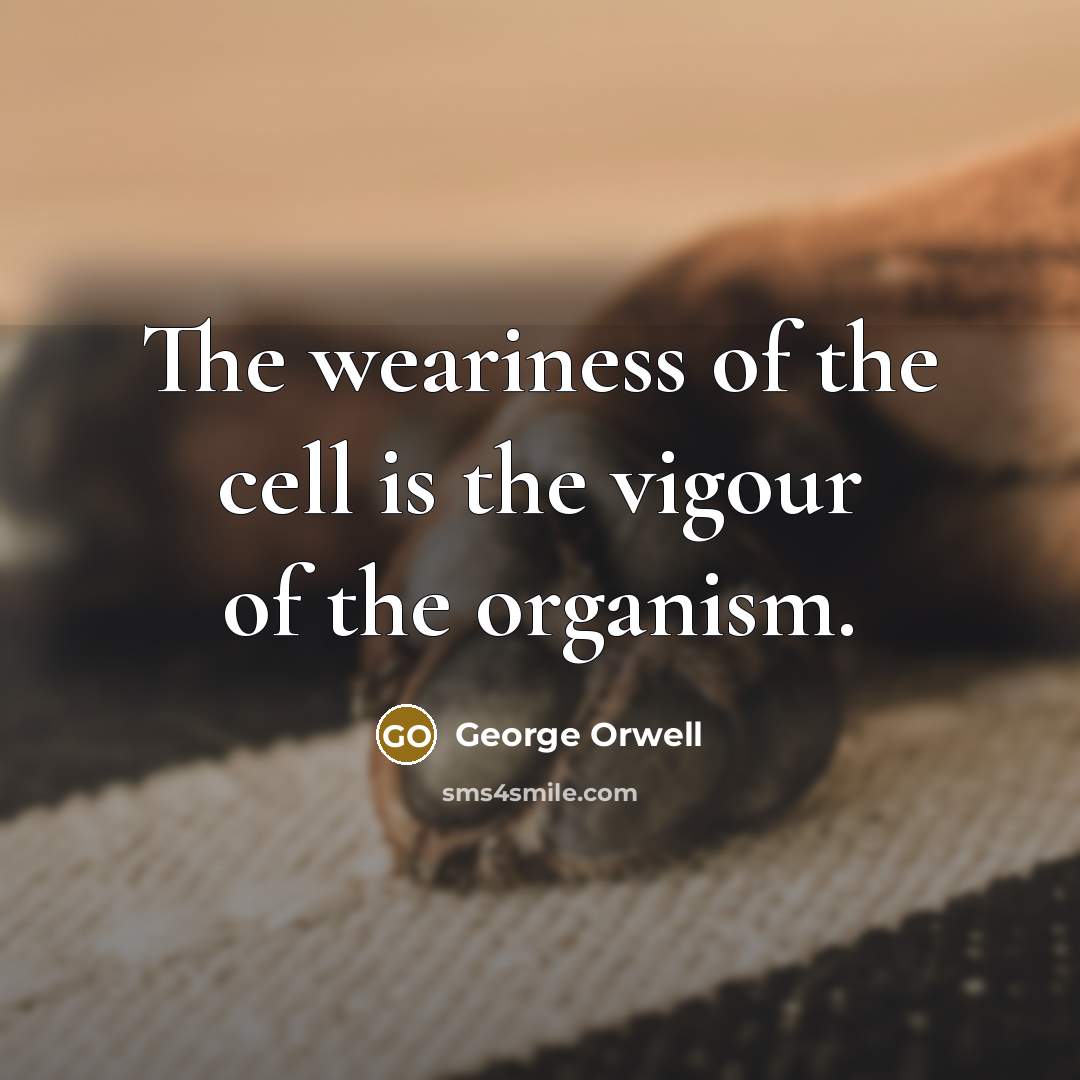 “The weariness of the cell is the vigour of the…” quote by George Orwell