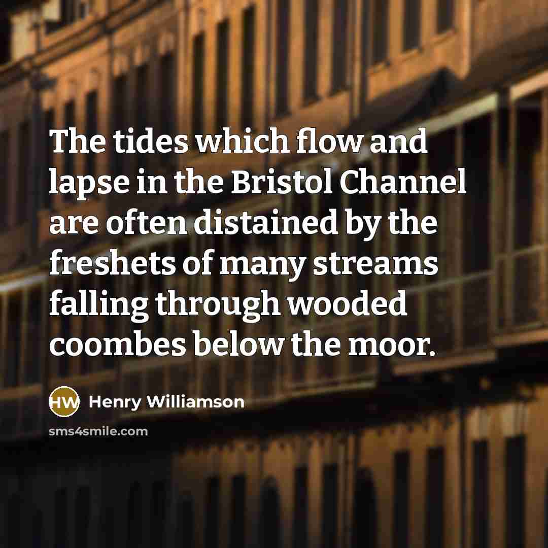 “The tides which flow and lapse in the Bristol Channel…” quote by Henry Williamson