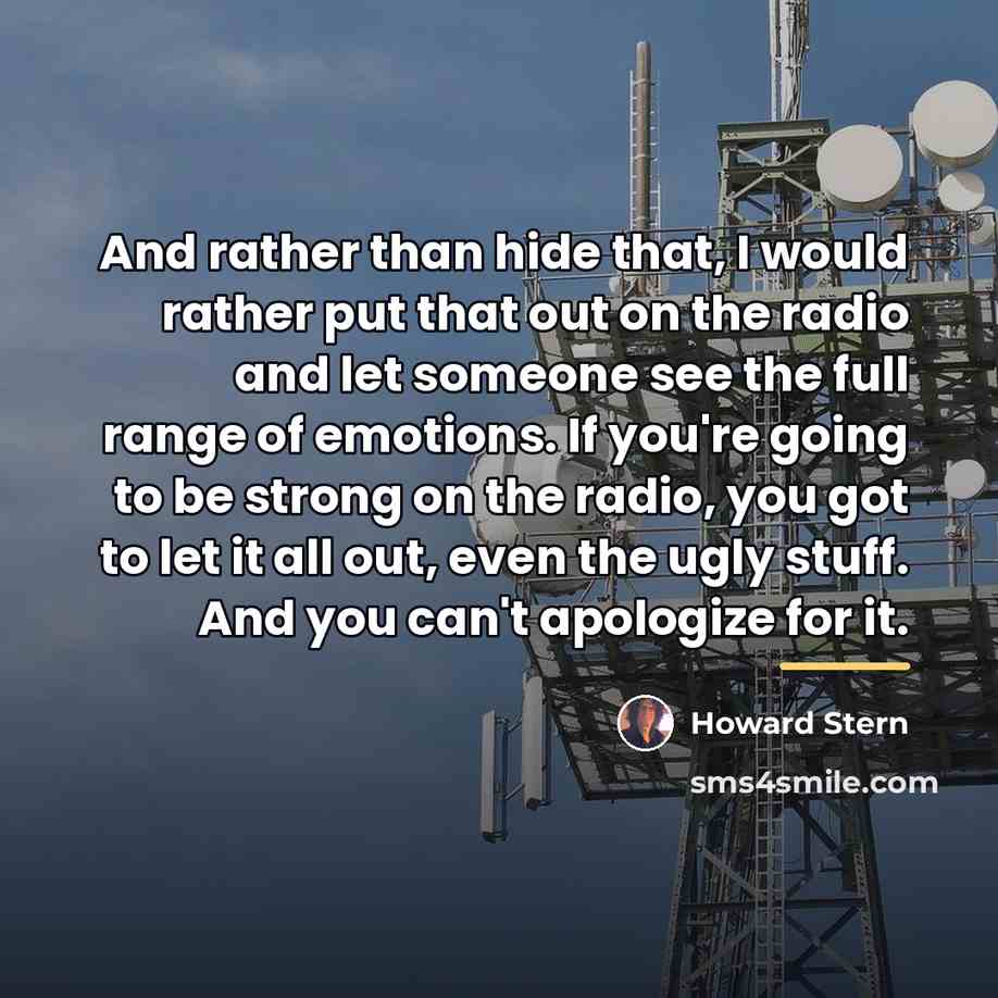 “And rather than hide that, I would rather put that…” quote by Howard Stern