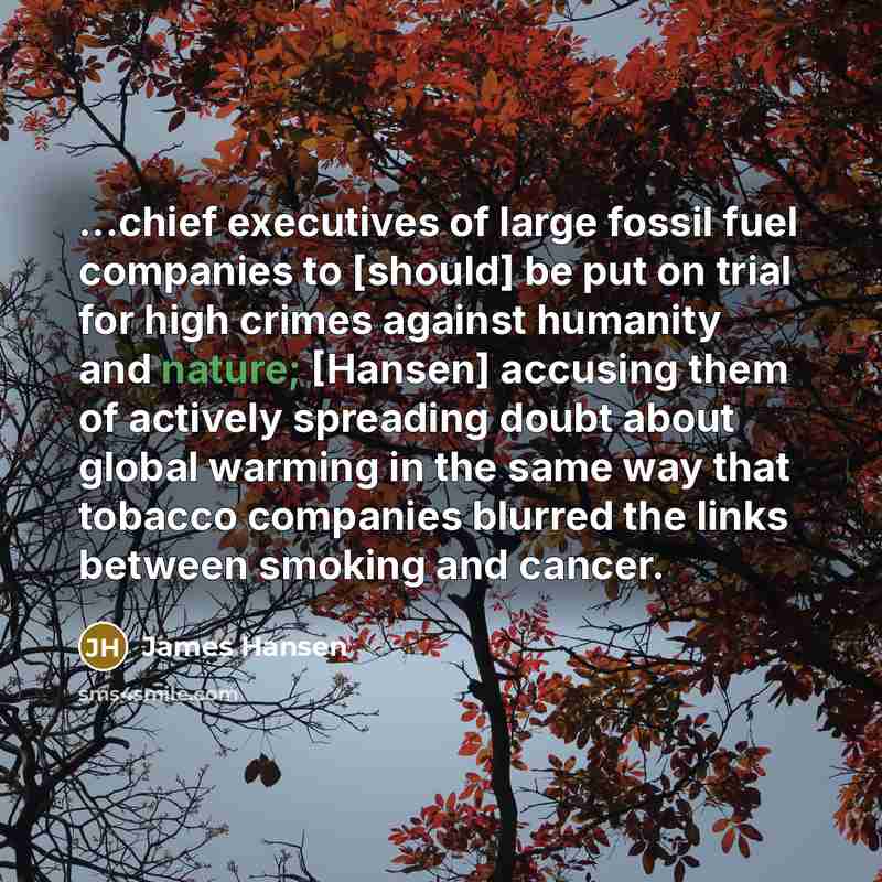 “...chief executives of large fossil fuel companies to [should] be…” quote by James Hansen