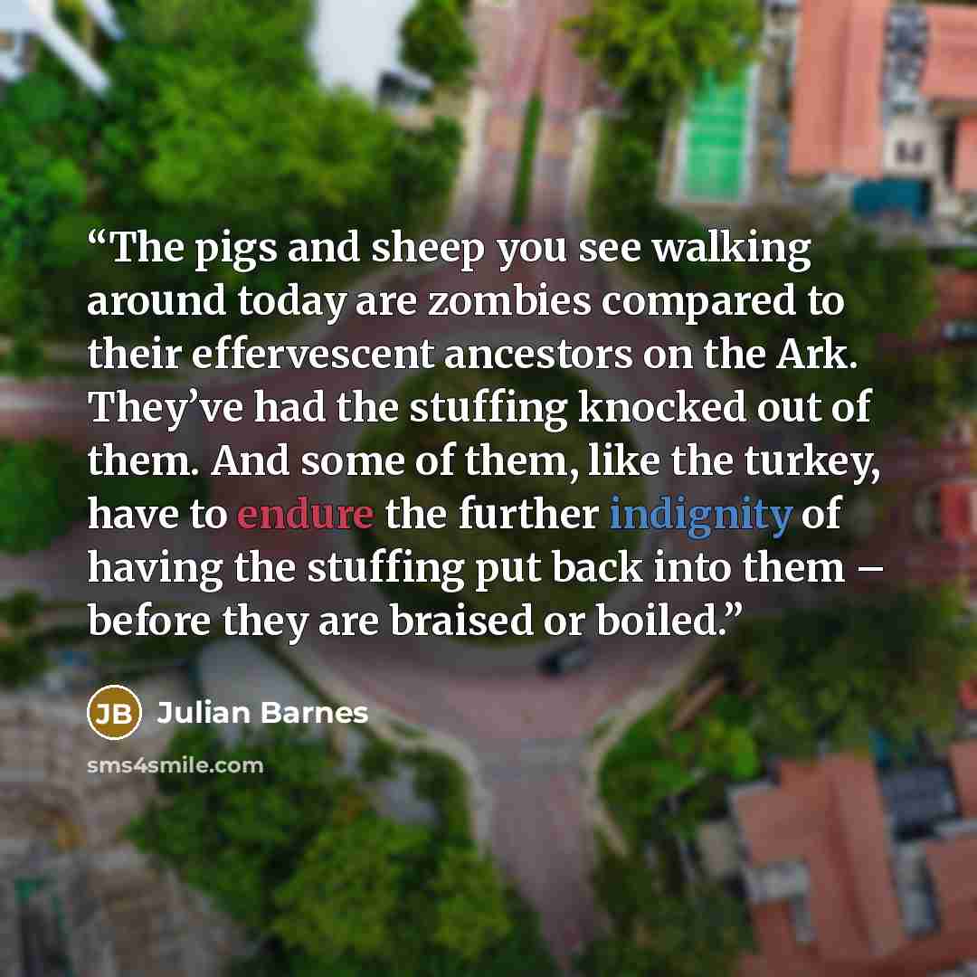 “The pigs and sheep you see walking around today are zombies compared to their effervescent ancestors on the Ark. They’ve had the stuffing knocked out of them. And some of them, like the turkey, have to endure the further indignity of having the stuffing put back into them – before they are braised…” quote by Julian Barnes