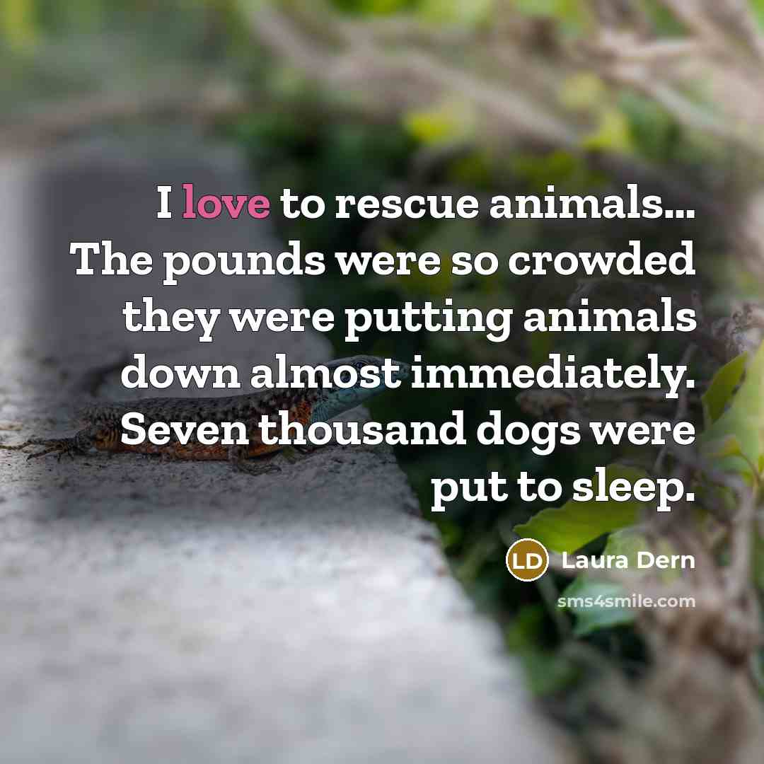 “I love to rescue animals.... The pounds were so crowded…” quote by Laura Dern