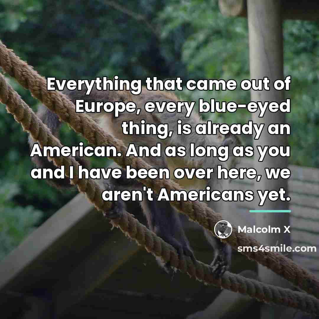 “Everything that came out of Europe, every blue-eyed thing, is…” quote by Malcolm X