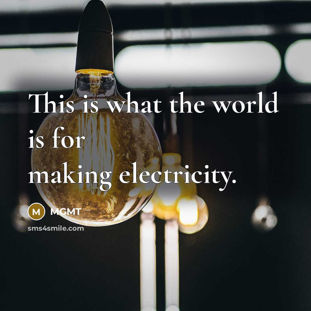 “This is what the world is for making electricity.” quote by MGMT