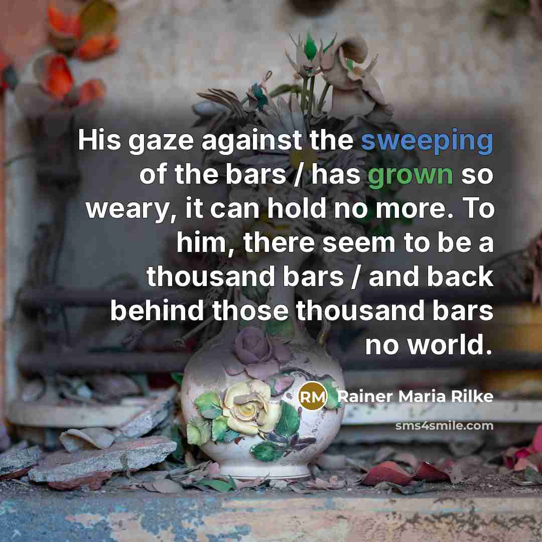 “His gaze against the sweeping of the bars / has…” quote by Rainer Maria Rilke