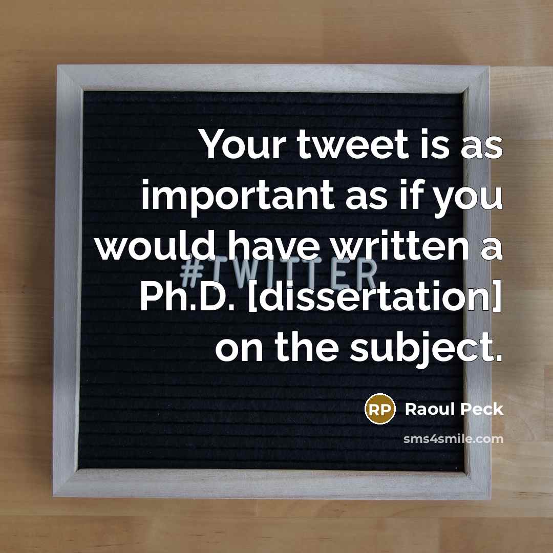 “Your tweet is as important as if you would have…” quote by Raoul Peck