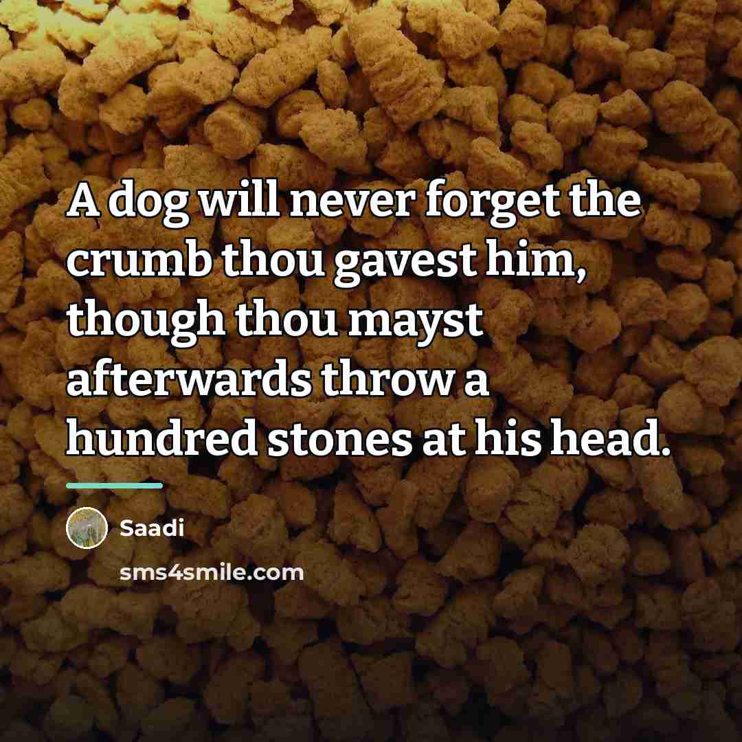 “A dog will never forget the crumb thou gavest him,…” quote by Saadi