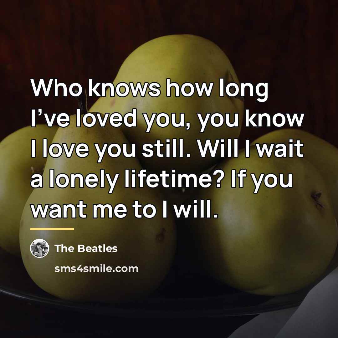 “Who knows how long I've loved you, you know I…” quote by The Beatles