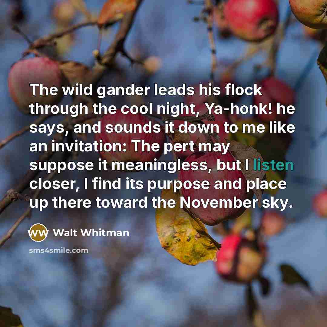 “The wild gander leads his flock through the cool night,…” quote by Walt Whitman