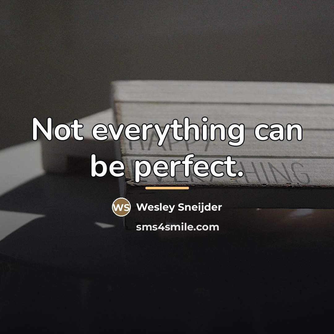 “Not everything can be perfect.…” quote by Wesley Sneijder