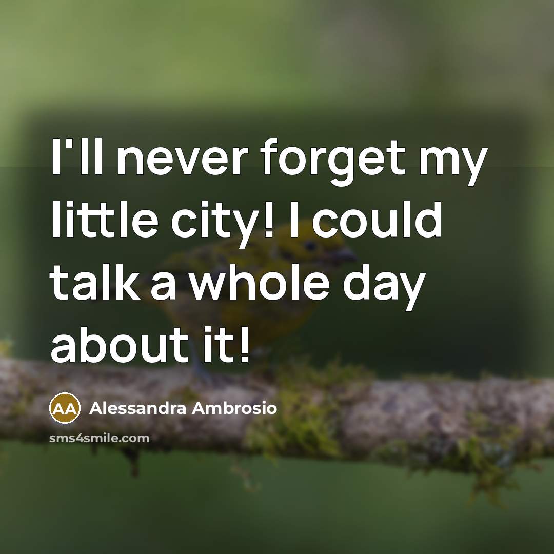 “I'll never forget my little city! I could talk a…” quote by Alessandra Ambrosio