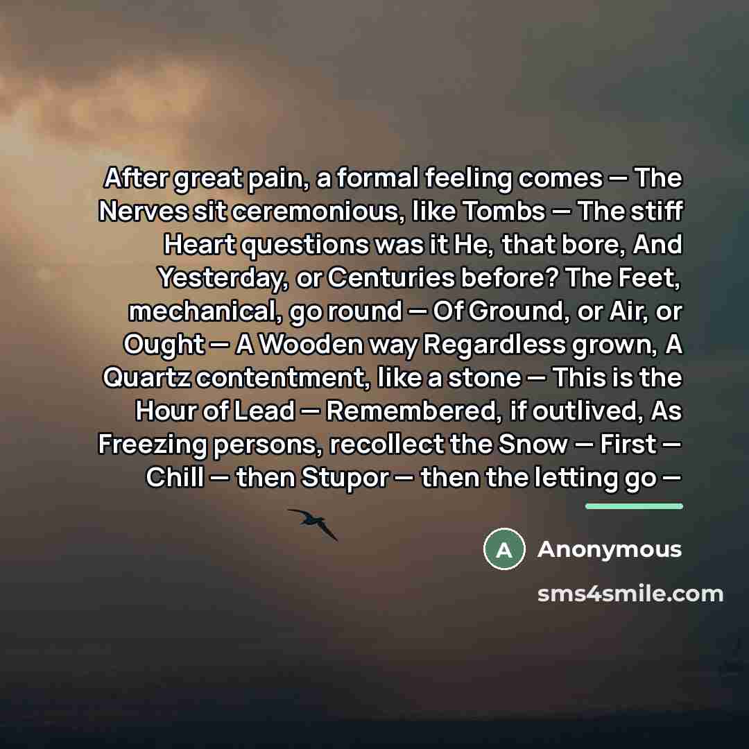 “After great pain, a formal feeling comes — The Nerves…” quote by Anonymous