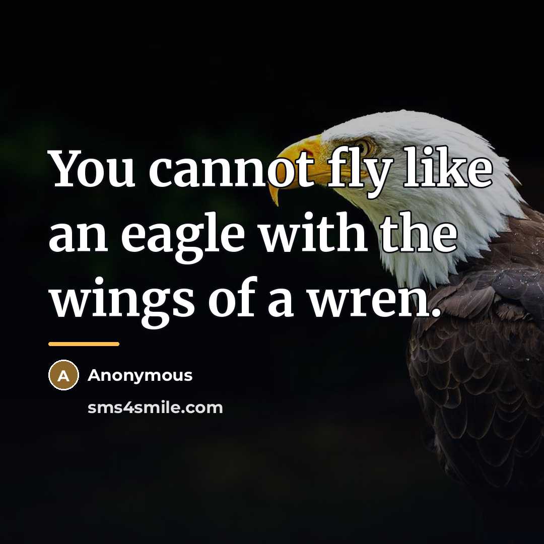 “You cannot fly like an eagle with the wings of…” quote by Anonymous