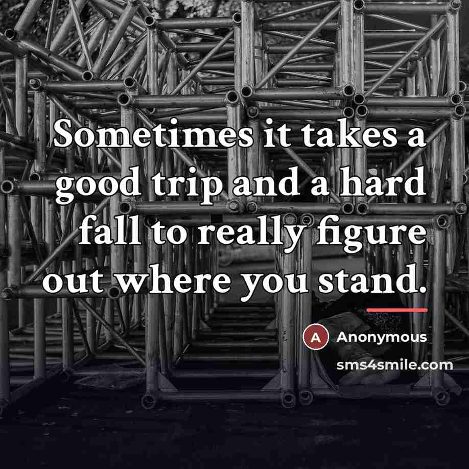 “Sometimes it takes a good trip and a hard fall…” quote by Anonymous