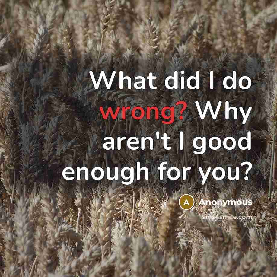 “What did I do wrong? Why aren't I good enough…” quote by Anonymous