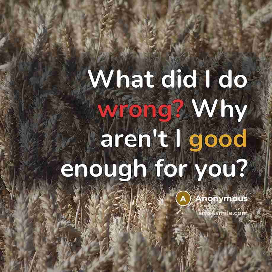 “What did I do wrong? Why aren't I good enough for you?” quote by Anonymous