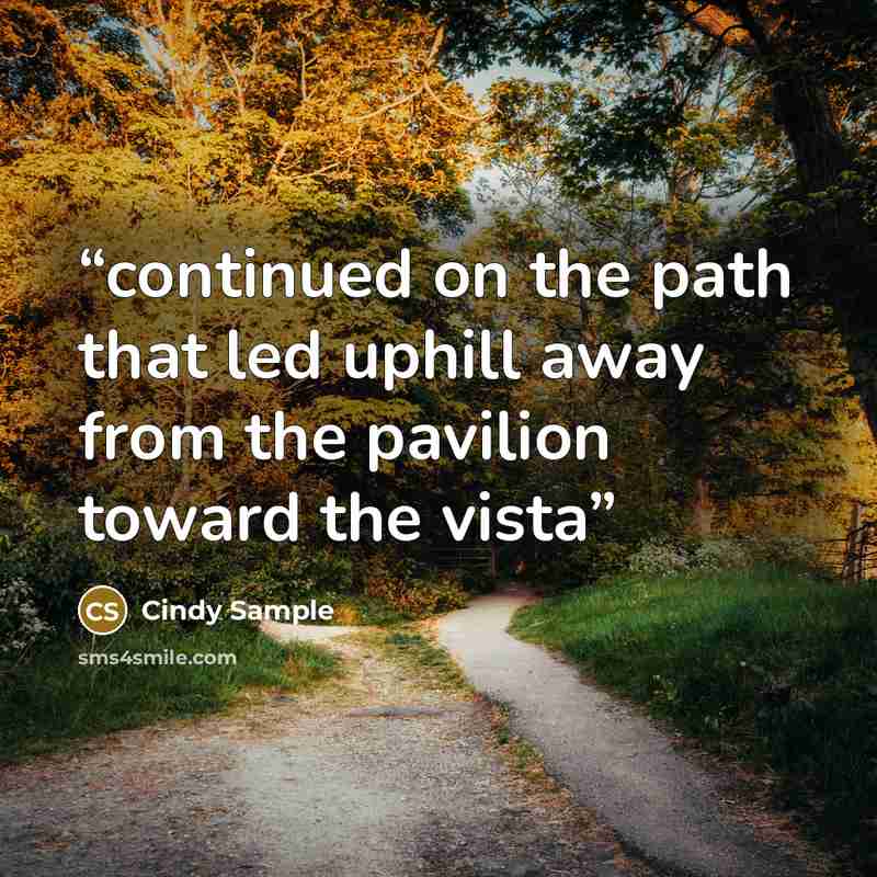 “continued on the path that led uphill away from the pavilion toward the vista” quote by Cindy Sample