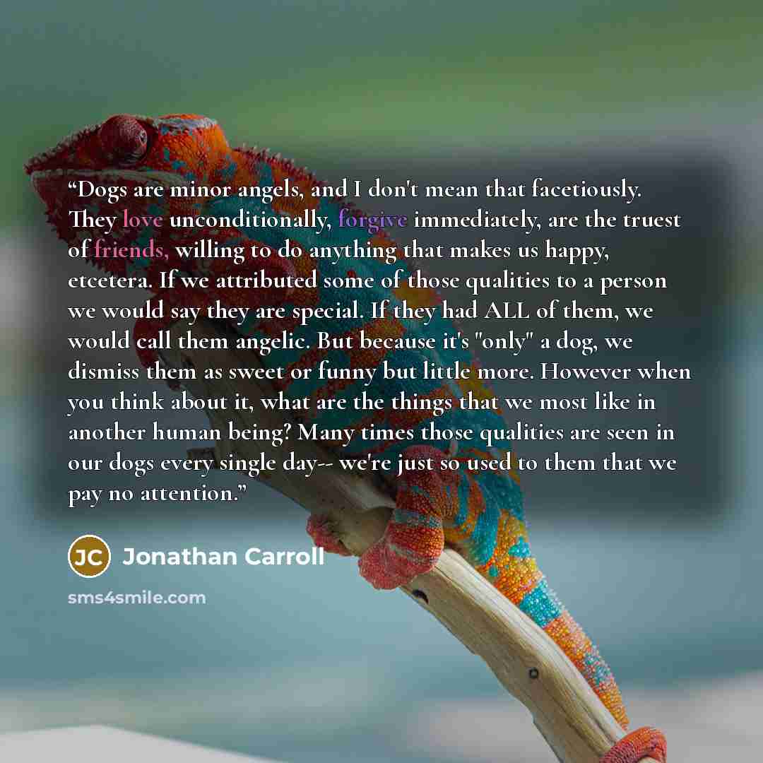 “Dogs are minor angels, and I don't mean that facetiously. They love unconditionally, forgive immediately, are the truest of friends, willing to do anything that makes us happy, etcetera. If we attributed some of those qualities to a person we would say they are special. If they had ALL of them, we…” quote by Jonathan Carroll