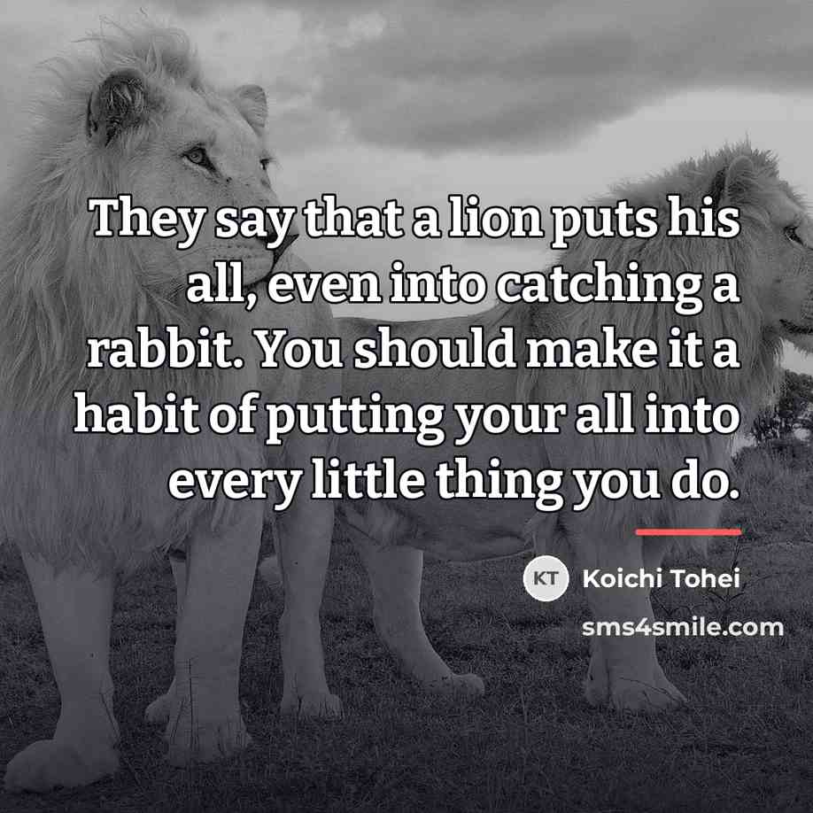 “They say that a lion puts his all, even into…” quote by Koichi Tohei