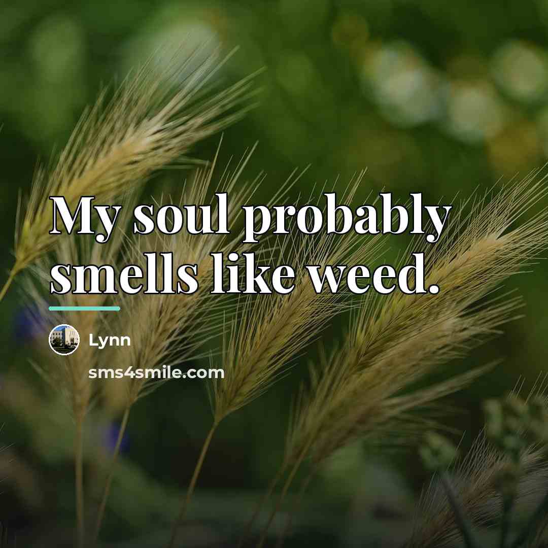 “My soul probably smells like weed.…” quote by Lynn