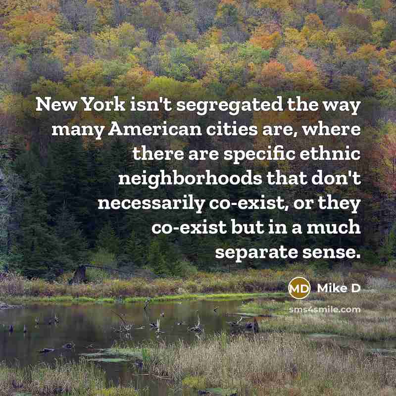 “New York isn't segregated the way many American cities are,…” quote by Mike D